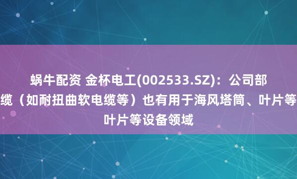 蜗牛配资 金杯电工(002533.SZ)：公司部分特种电缆（如耐扭曲软电缆等）也有用于海风塔筒、叶片等设备领域