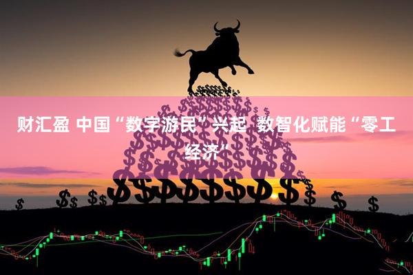 财汇盈 中国“数字游民”兴起  数智化赋能“零工经济”